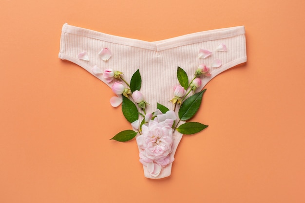 Conceito de sistema reprodutivo feminino de vista superior