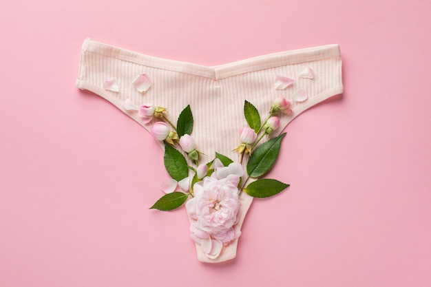 Conceito de sistema reprodutivo feminino plano leigo