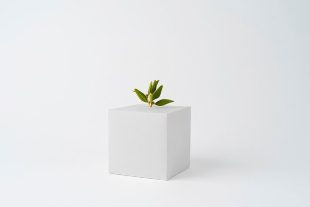 Conceito de sustentabilidade com formas geométricas e plantas em crescimento