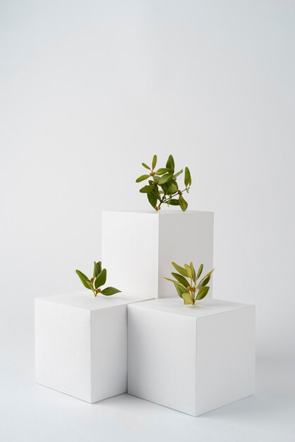 Conceito de sustentabilidade com formas geométricas e plantas em crescimento