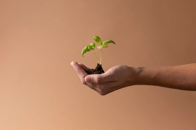 Foto grátis conceito de vida crescente com flores