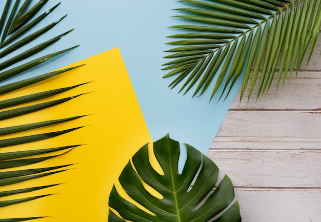 Foto grátis conceito do abrandamento das férias das férias de verão da praia