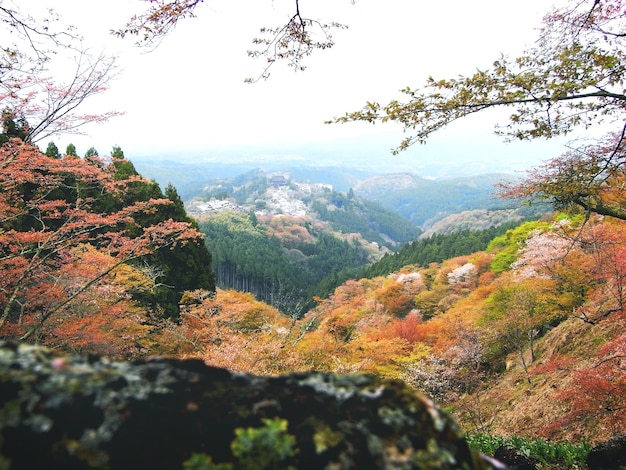 Conceito tranquilo da viagem ambiental da montanha da escala