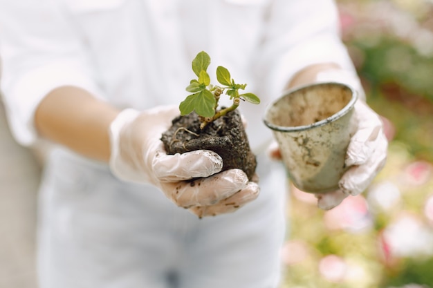 Concentre-se nas mãos com solo. Mãos de uma jovem jardineira segurando solo com uma planta jovem para plantar, em pé na estufa