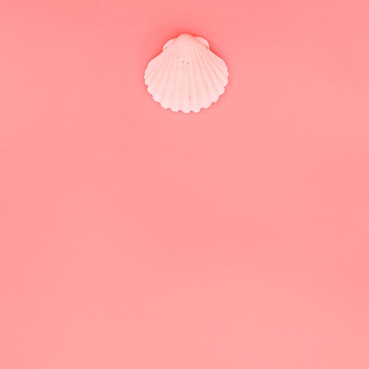 Foto grátis concha do mar cor-de-rosa do scallop no fundo coral com espaço da cópia para escrever o texto