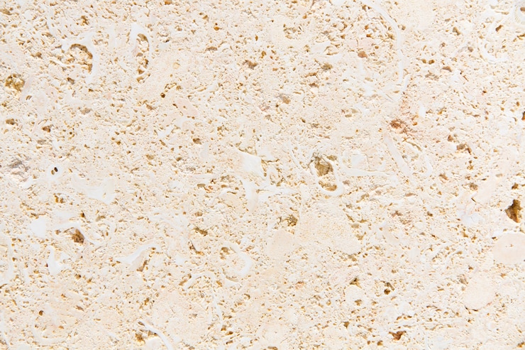Foto grátis conchas de pedra textura fóssil