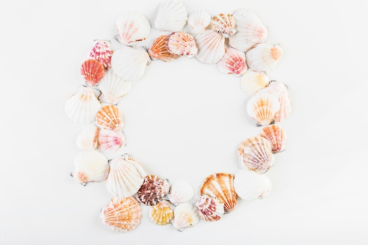Foto grátis conchas do mar em círculo