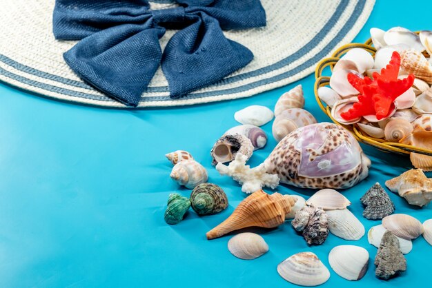 Foto grátis conchas e chapéu de verão com listras azuis e laço