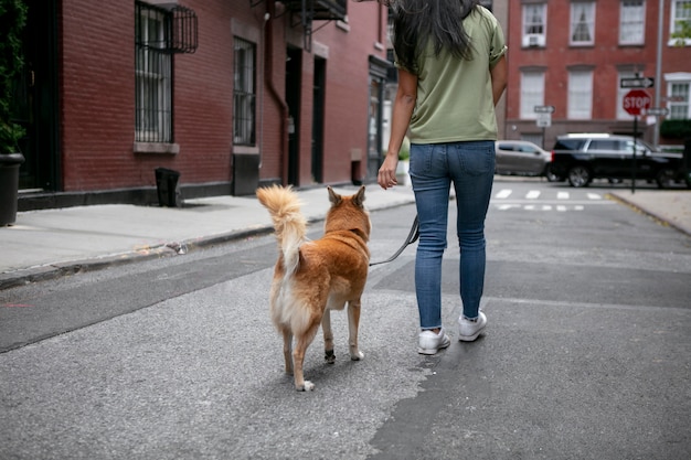 Conheça o estilo de vida do animal de estimação