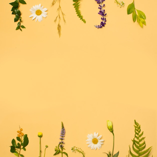 Conjunto de folhagem verde e flores