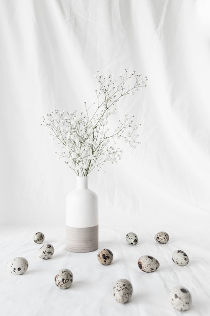 Conjunto de ovos de codorna Páscoa perto de ramos de plantas em vaso