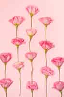 Foto grátis conjunto de rosa flores frescas