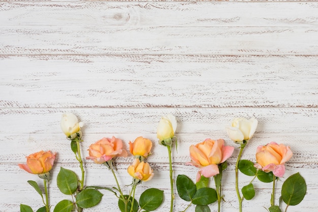 Conjunto de rosas laranja e brancas em cima da mesa