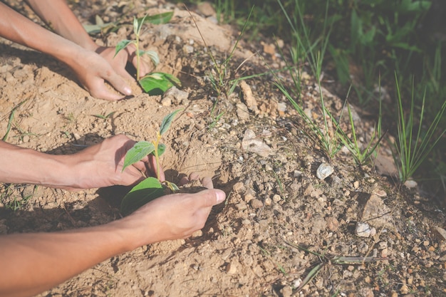 conservação ambiental no jardim para crianças.