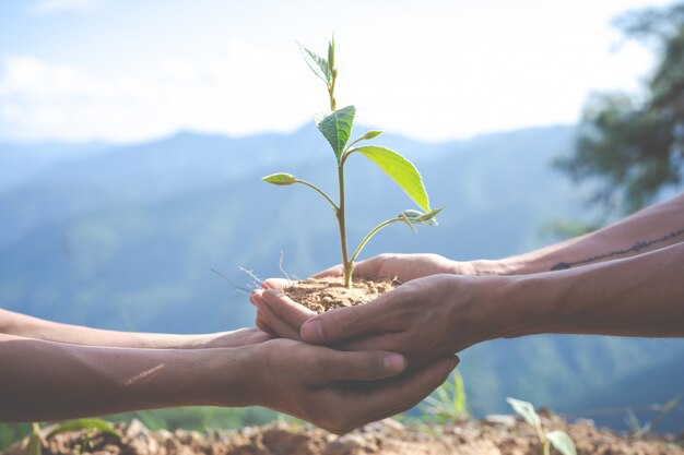 conservação ambiental no jardim para crianças.