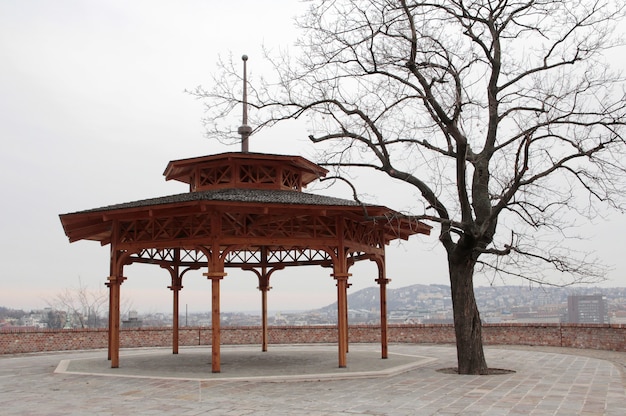 Foto grátis construção de metal circular ao lado de uma árvore sob um céu nublado