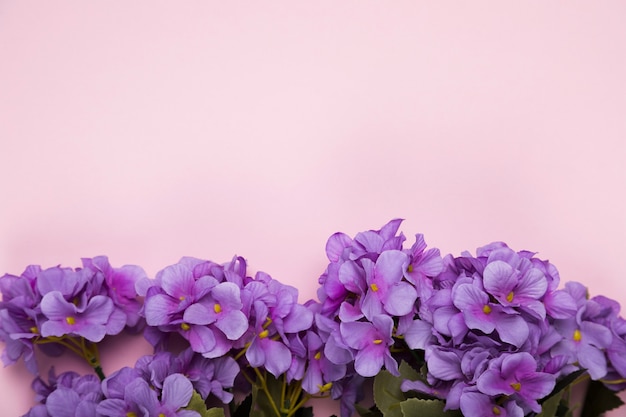 Foto grátis cópia-espaço florescendo flores