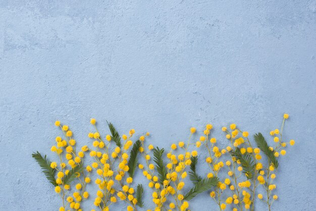 Cópia-espaço primavera flores ramos