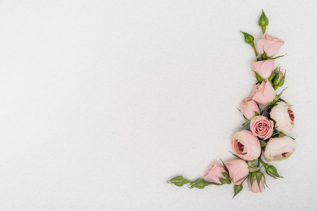 Copie o espaço folhas da primavera e flores rosas