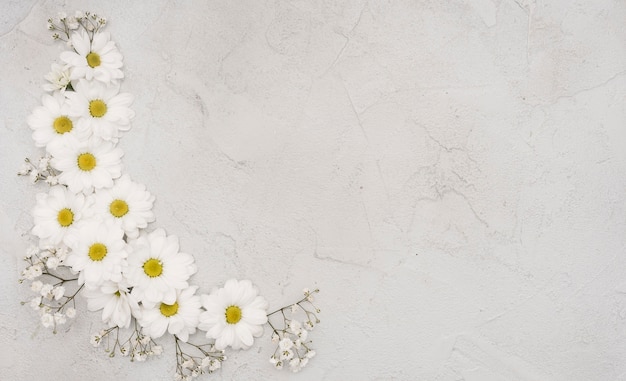 Copie o fundo do espaço com flores da primavera