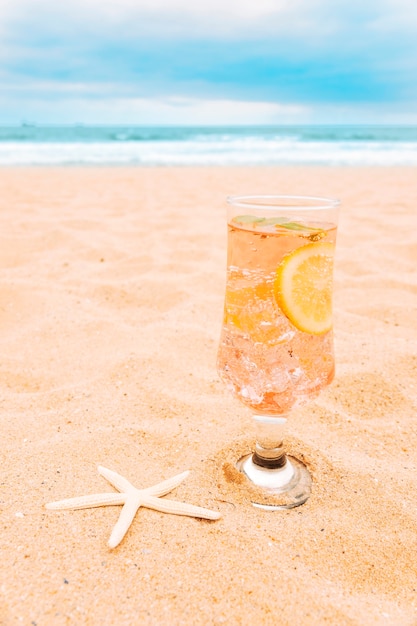 Copo de bebida fresca com fatias de frutas cítricas e estrelas do mar