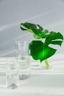 Copo de manhã e jarra de água limpa com duas grandes folhas verdes na mesa branca. café da manhã com sombra longa e reflexão da luz solar. conceito de um estilo de vida saudável