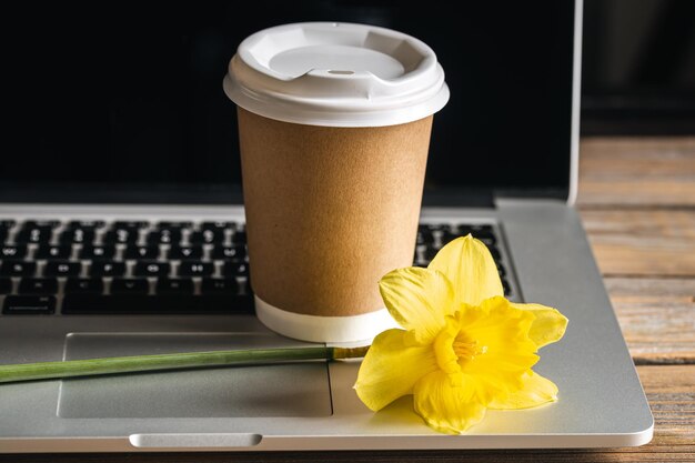 Copo de papel e flor amarela no conceito de trabalho do laptop