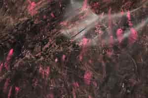 Foto grátis cor de holi rosa sobre o pano de fundo texturizado preto de madeira