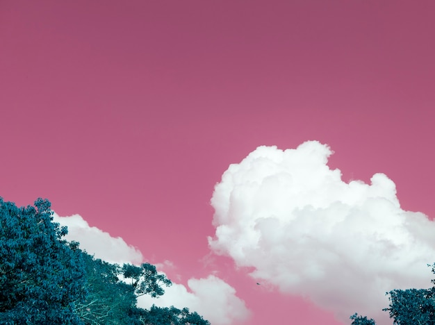 Foto grátis cor negativa de uma paisagem de nuvens