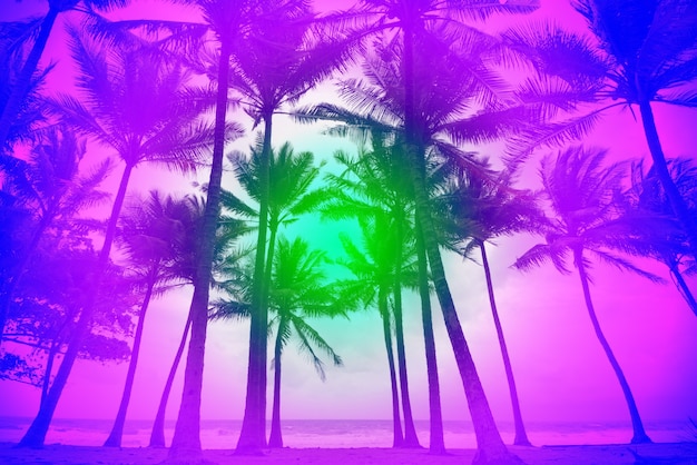 Cor pastel colorida de palmeiras de silhueta na ilha tropical em um dia ensolarado de verão.