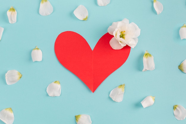 Foto grátis coração de papel e broto de flor fresca