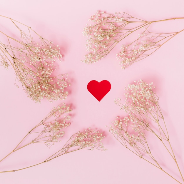 Foto grátis coração decorativo entre plantas