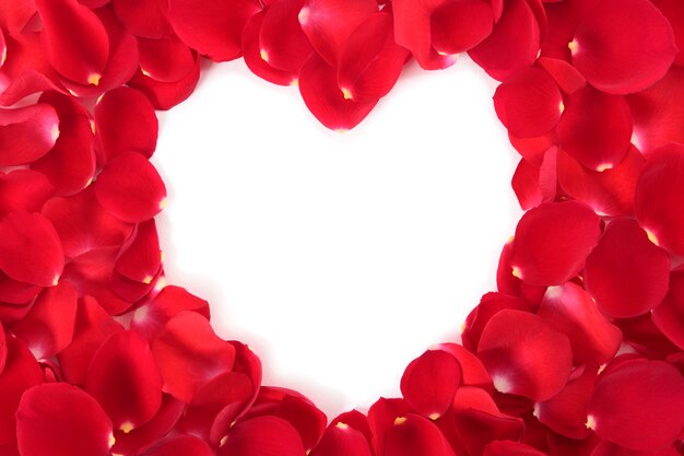Coração do Valentim com pétalas de rosas vermelhas