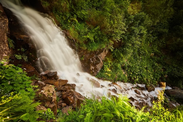 Córrego rápido da montanha na floresta