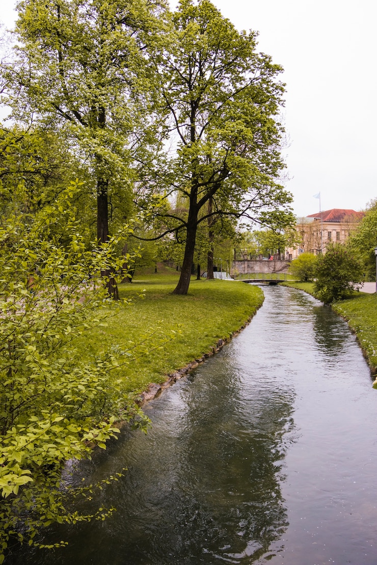 Foto grátis corrente que flui pelo parque