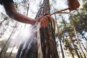 Foto grátis cortar a pessoa amarrando a corda na árvore