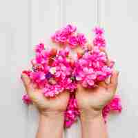 Foto grátis cortar as mãos com flores rosa