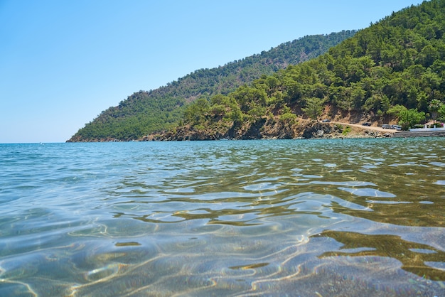 Costa com árvores com mar ao redor