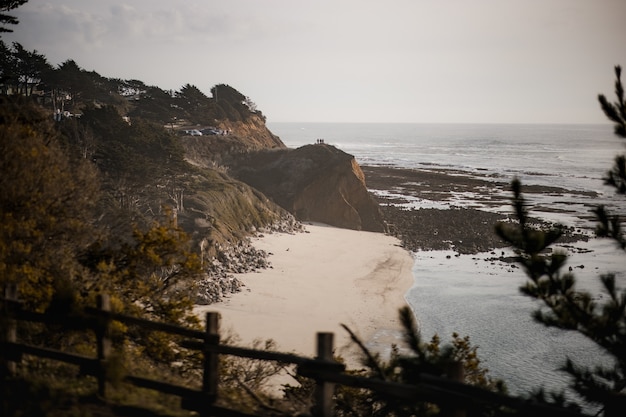 Foto grátis costa da praia durante o dia