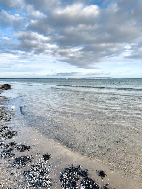 Foto grátis costa do mar com conchas e ondas de textura paisagem marítima