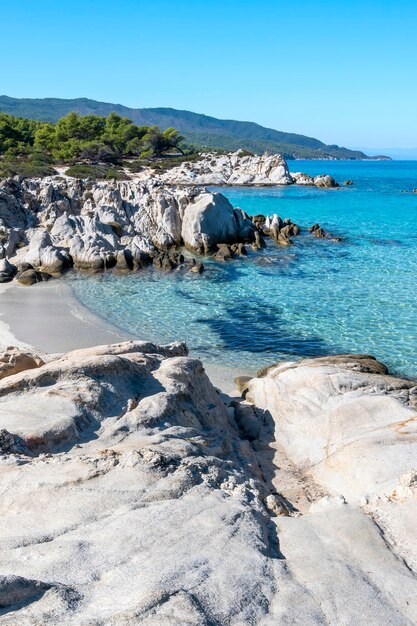 Costa do mar Egeu com vegetação ao redor, rochas, arbustos e árvores, água azul, Grécia