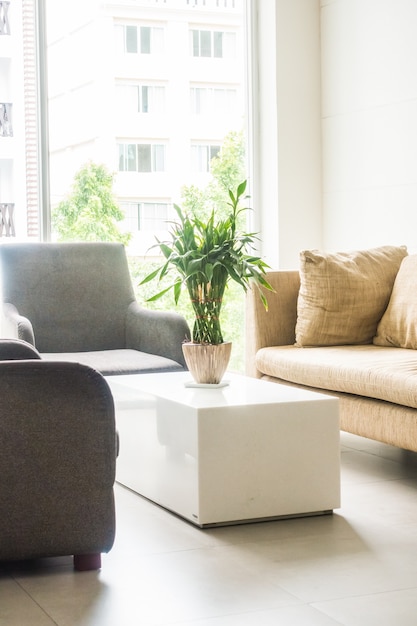 Foto grátis couchs com uma planta no meio de uma tabela
