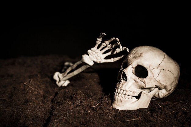 Crânio e mão do esqueleto no chão