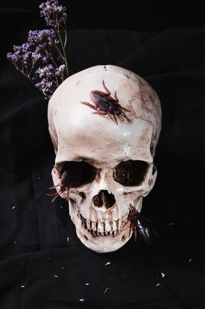 Crânios assustadores com baratas e flores