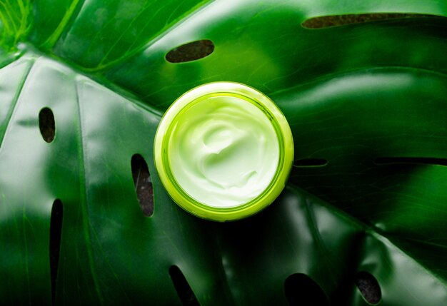 Creme cosmético em um recipiente em uma vista superior de folha tropical monstro verde, cosméticos naturais e conceito de produto de cuidado de pele orgânico. creme para cuidados com o rosto e o corpo, camada plana
