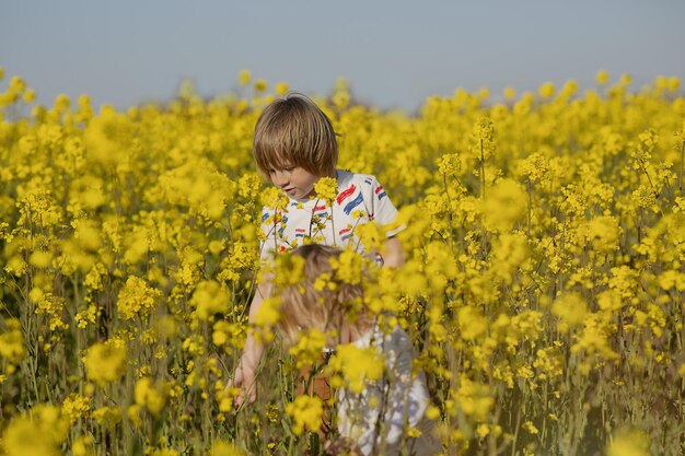 Criança loira e bonita de origem holandesa colhendo flores amarelas no campo