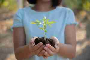 Foto grátis criança menina bonitinha com mudas no fundo por do sol. jardineiro divertido. conceito de primavera, natureza e cuidado. cultivando maconha, plantando cannabis, segurando-a na mão.