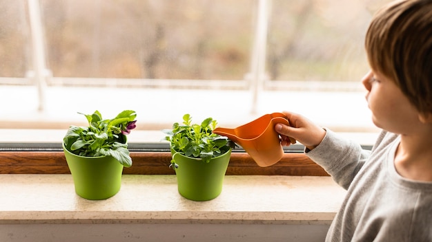 Criança regando plantas perto da janela