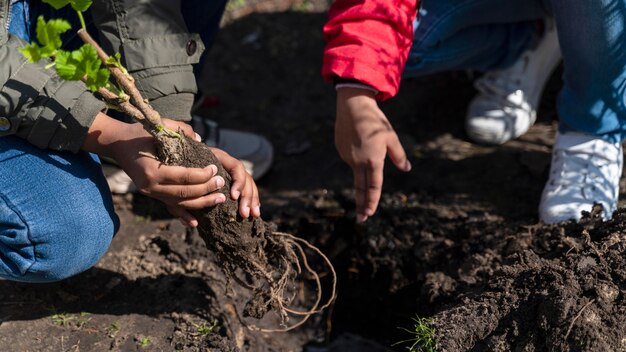 Crianças aprendendo a plantar uma árvore