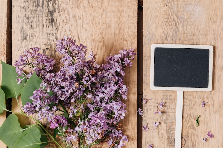 Foto grátis criativo plano conceito de jardinagem